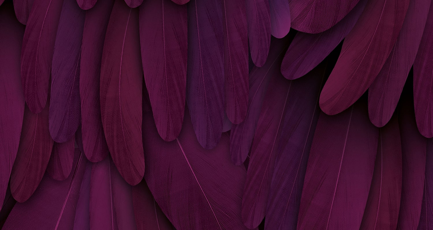 Purple Feather Je Joue background