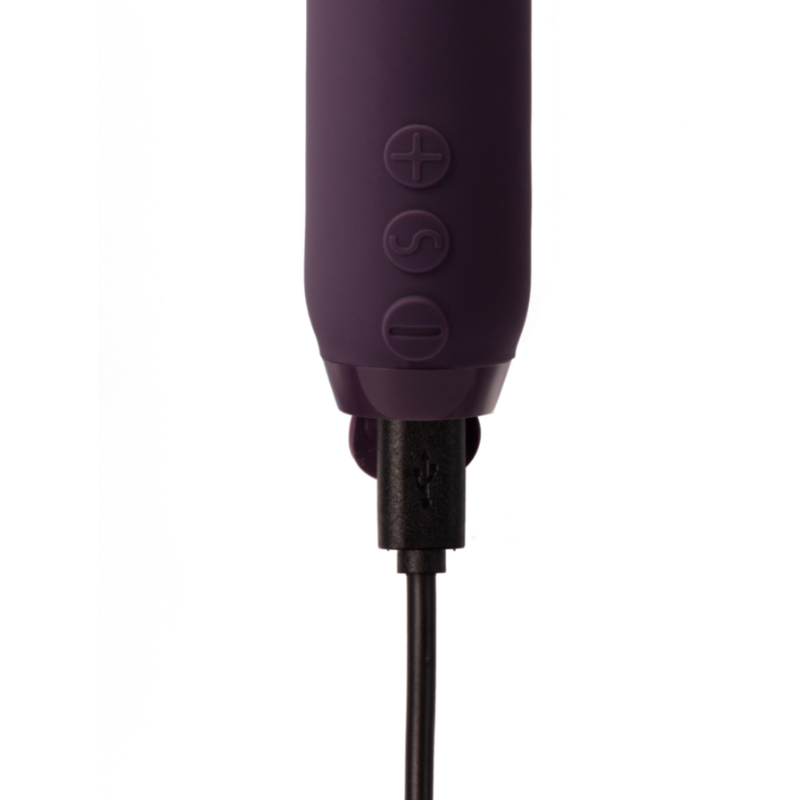 Purple toy on change on white background