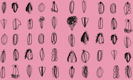 Illustrations of vulvas on pink background