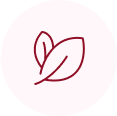 Leaves on pink background logo