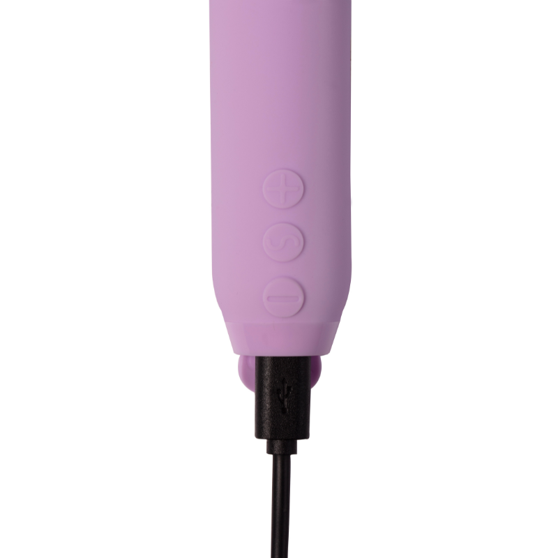 Lilac Toy on charge on white background
